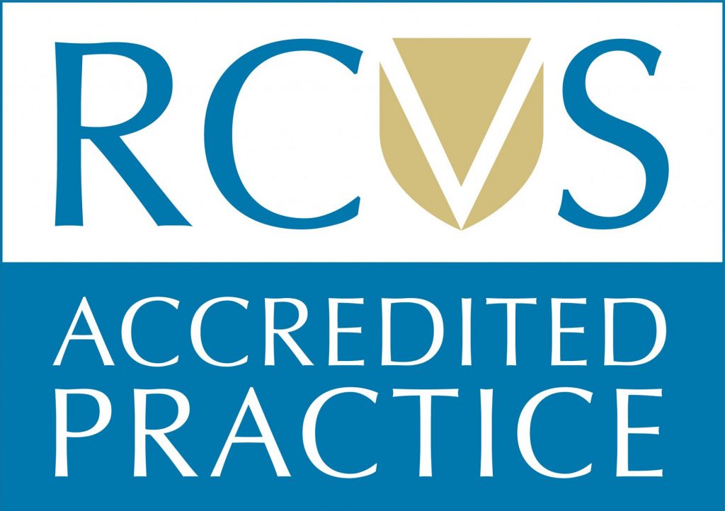 RCVS accredited practice