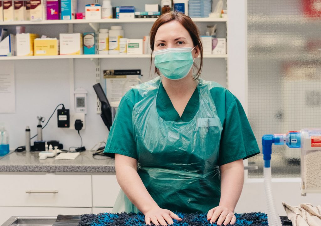 Veterinary Surgery at City Road Vets