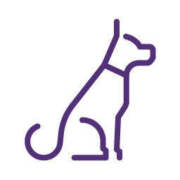 Dog illustration
