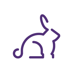Rabbit illustration