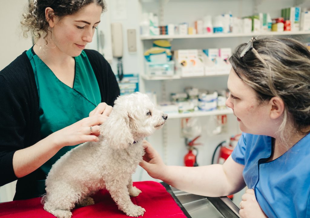 Animal wellbeing