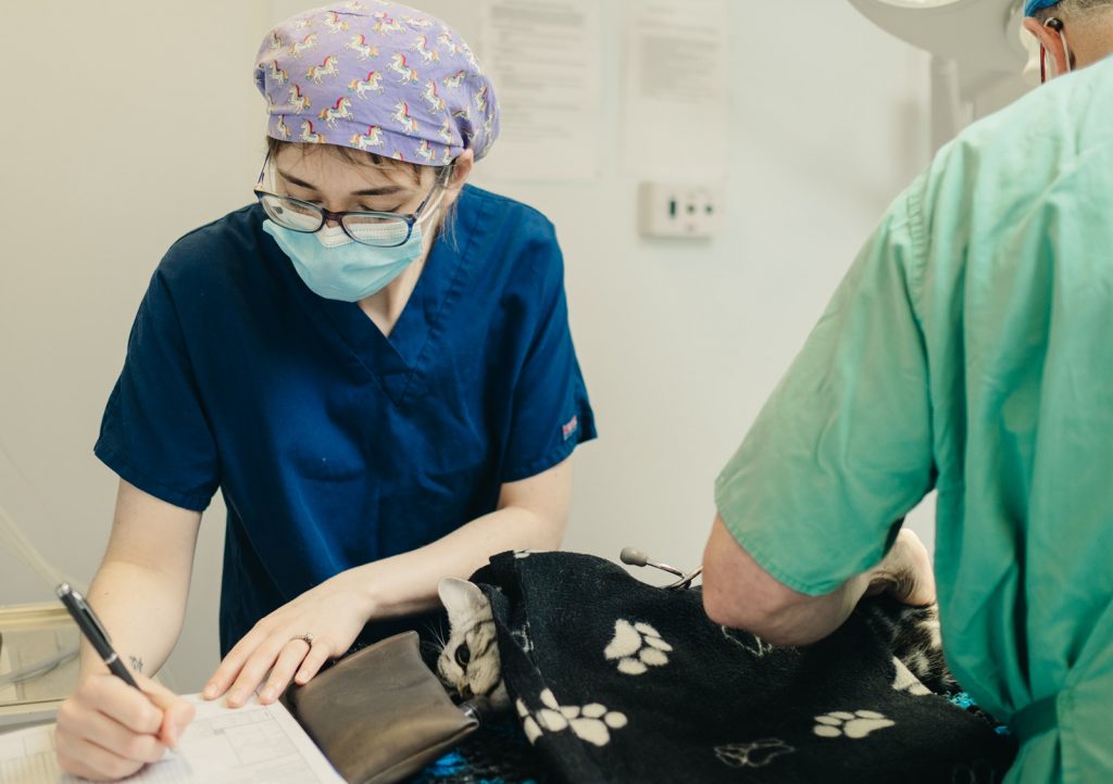 Veterinary Surgery & Anaesthetics