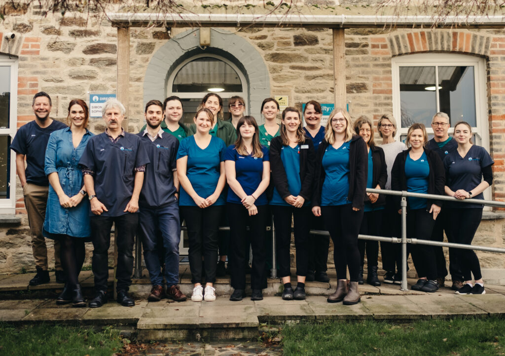 Cityroad veterinary surgeons, nurses and reception team. Animal care